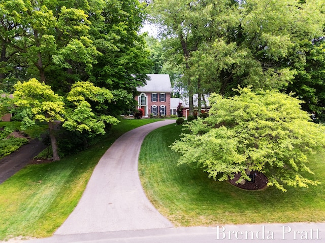 5691 Forest Gln SE, Ada, MI 49301 - view of front of house with a front lawn, asphalt driveway, and view of scattered trees