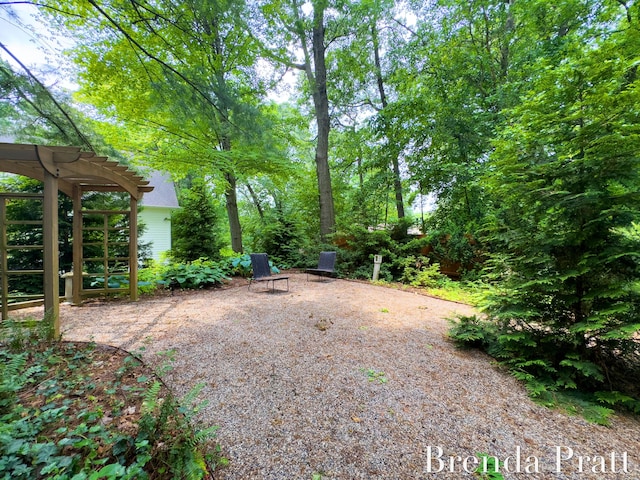 5691 Forest Gln SE, Ada, MI 49301 - view of yard with a patio