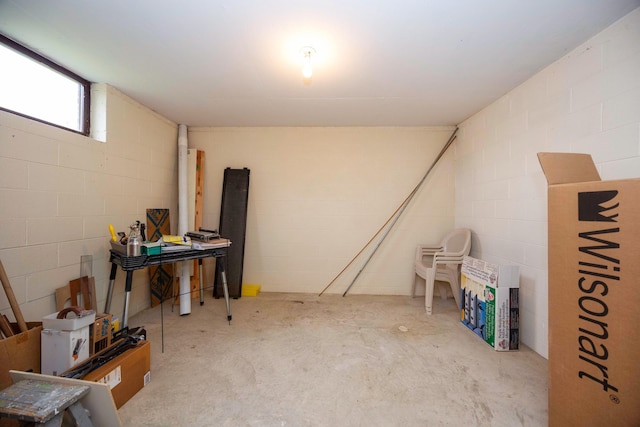 9128 Clover Dr, Milan, MI 48160 - below grade area with concrete block wall