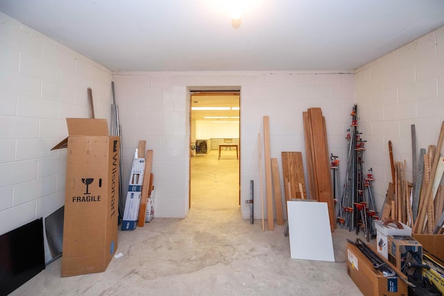 9128 Clover Dr, Milan, MI 48160 - misc room with concrete block wall and concrete flooring