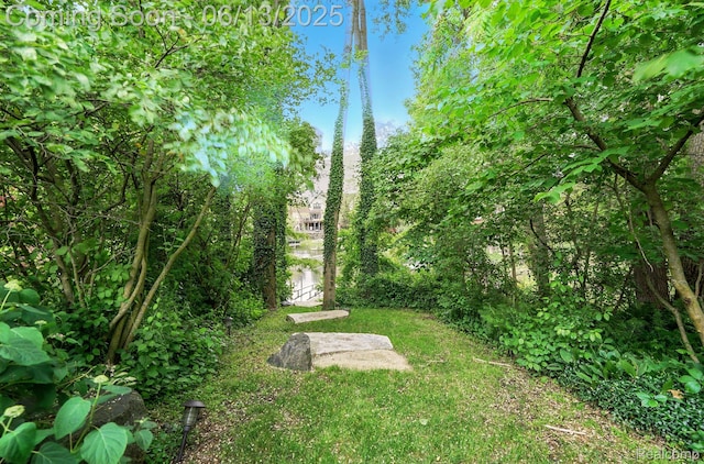1377 Lake Shore Blvd, Lake Orion, MI 48362 - view of yard