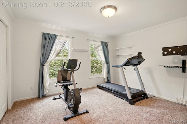 1377 Lake Shore Blvd, Lake Orion, MI 48362 - workout area with carpet flooring and crown molding