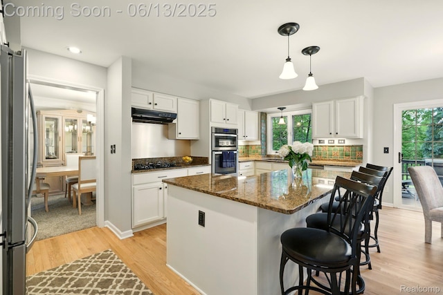 1377 Lake Shore Blvd, Lake Orion, MI 48362 - kitchen with appliances with stainless steel finishes, exhaust hood, light wood-type flooring, and plenty of natural light