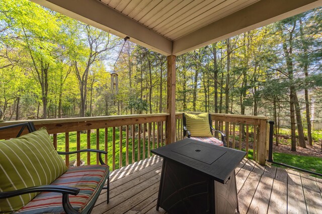 6428 Ototeman Trl, Saugatuck, MI 49453 - photo 42