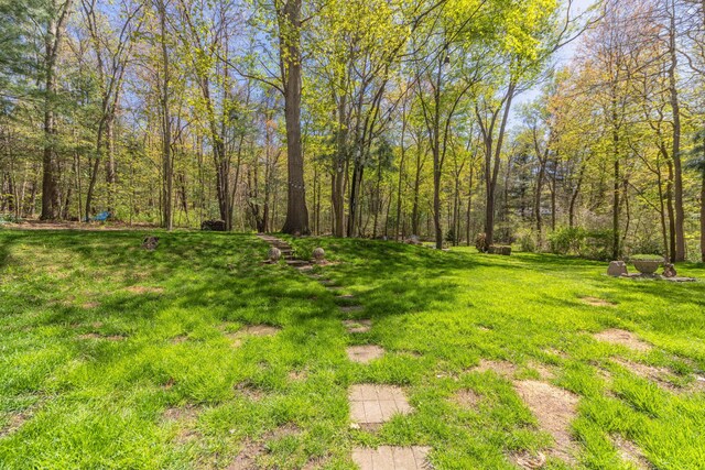 6428 Ototeman Trl, Saugatuck, MI 49453 - photo 44