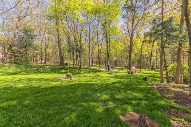 6428 Ototeman Trl, Saugatuck, MI 49453 - photo 45