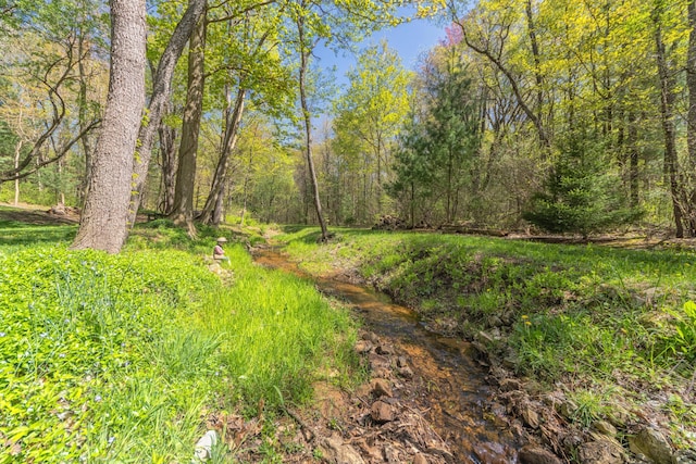 6428 Ototeman Trl, Saugatuck, MI 49453 - photo 47