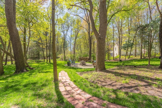 6428 Ototeman Trl, Saugatuck, MI 49453 - photo 51