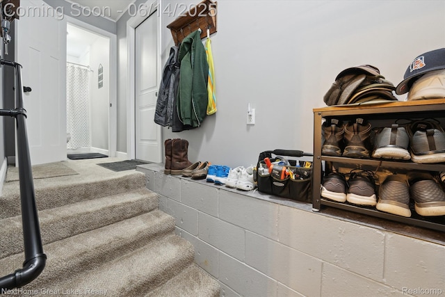 4098 Sam Snead Dr, Flint, MI 48506 - view of mudroom