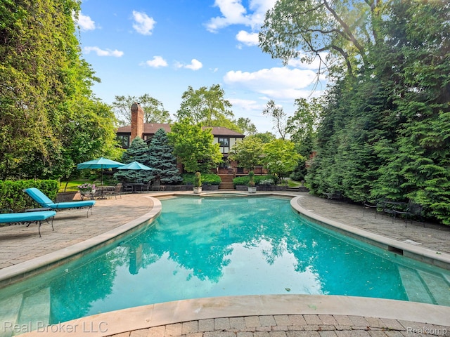 1299 Orchard Ridge Rd, Bloomfield Hills, MI 48304 - swimming pool featuring a patio area
