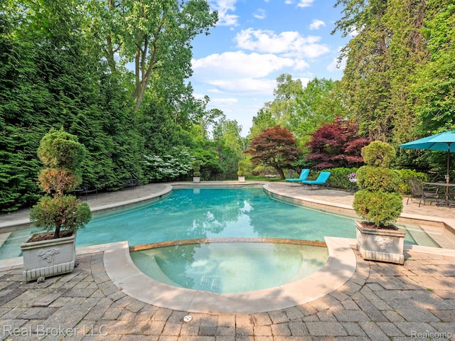 1299 Orchard Ridge Rd, Bloomfield Hills, MI 48304 - view of swimming pool featuring a pool with connected hot tub