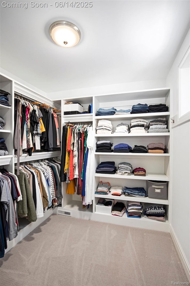 1060 Smith Ave, Birmingham, MI 48009 - walk in closet featuring carpet floors