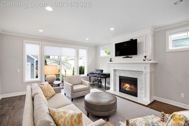 1060 Smith Ave, Birmingham, MI 48009 - living area featuring crown molding, healthy amount of natural light, dark wood finished floors, recessed lighting, and a premium fireplace