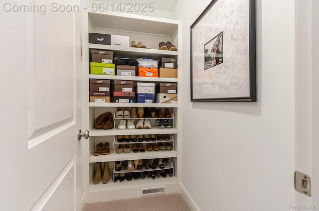 1060 Smith Ave, Birmingham, MI 48009 - view of storage area