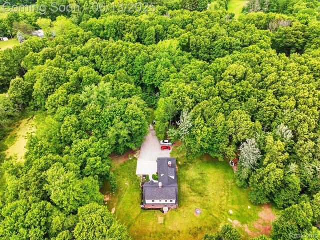 6535 Cedar Lake Rd, Pinckney, MI 48169 - view from above of property featuring a forest