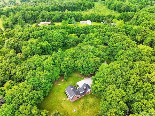 6535 Cedar Lake Rd, Pinckney, MI 48169 - aerial view of a forest