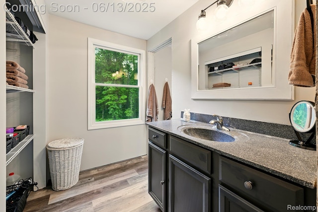 6535 Cedar Lake Rd, Pinckney, MI 48169 - bathroom with vanity and wood finished floors