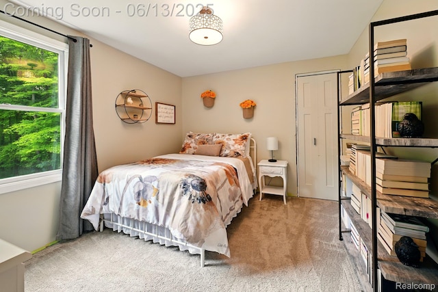 6535 Cedar Lake Rd, Pinckney, MI 48169 - bedroom with light carpet