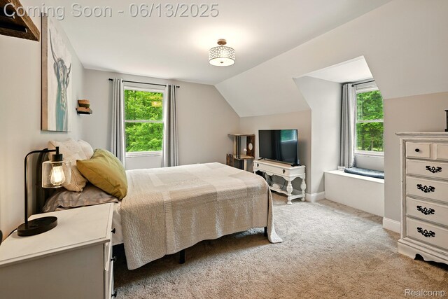 6535 Cedar Lake Rd, Pinckney, MI 48169 - bedroom featuring vaulted ceiling and light colored carpet