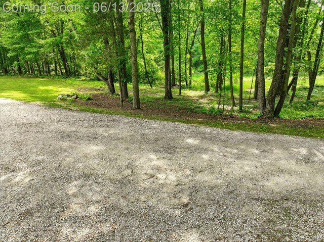 6535 Cedar Lake Rd, Pinckney, MI 48169 - view of yard