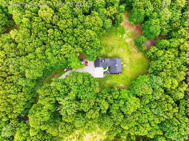 6535 Cedar Lake Rd, Pinckney, MI 48169 - aerial view of property and surrounding area