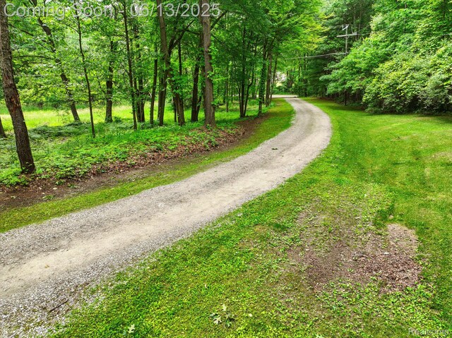 6535 Cedar Lake Rd, Pinckney, MI 48169 - view of dirt / gravel road with a wooded view