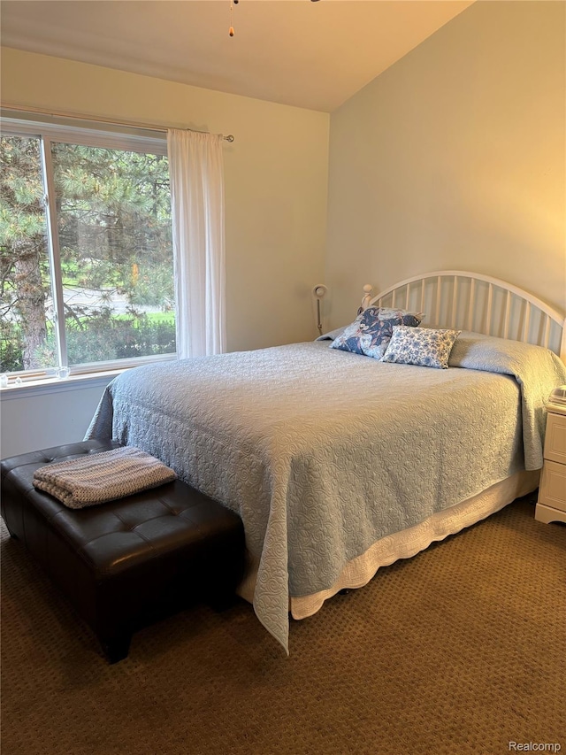 11081 Coventry Ct, Taylor, MI 48180 - bedroom with carpet flooring