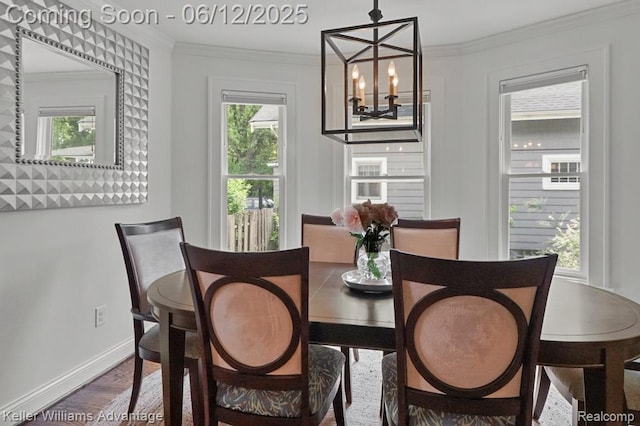 1260 W Ann Arbor Trl, Plymouth, MI 48170 - dining room featuring a chandelier, crown molding, and wood finished floors