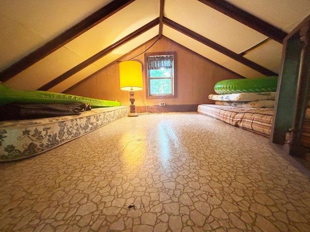 2112 Timber Ln, Brooklyn, MI 49230 - view of bonus room