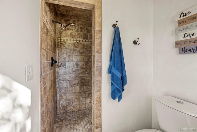 3985 Wadhams Rd, China, MI 48054 - bathroom featuring a tile shower and toilet