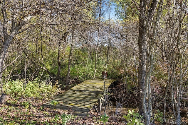 3985 Wadhams Rd, China, MI 48054 - view of tree filled area