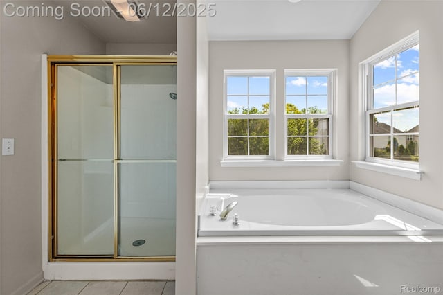 49620 Dunhill Dr, Macomb, MI 48044 - bathroom featuring healthy amount of natural light, a shower stall, and a garden tub