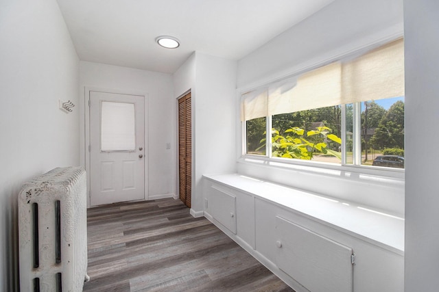 505 Fitch St, Albion, MI 49224 - entryway featuring radiator heating unit and wood finished floors