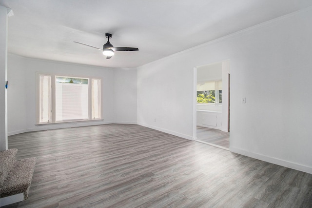 505 Fitch St, Albion, MI 49224 - empty room featuring healthy amount of natural light, ceiling fan, wood finished floors, and ornamental molding