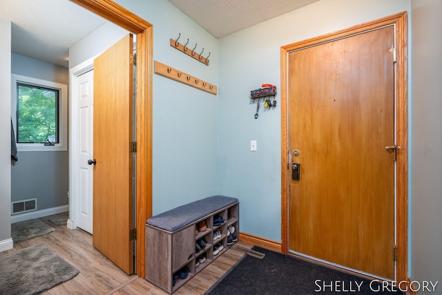 5151 Scotch Mist Dr, Saranac, MI 48881 - foyer featuring light wood-style flooring and baseboards
