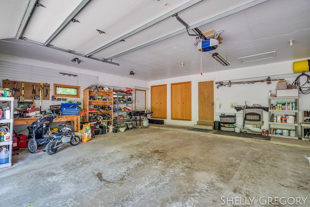 5151 Scotch Mist Dr, Saranac, MI 48881 - garage with a workshop area and a garage door opener
