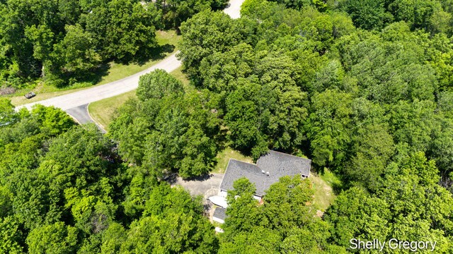 5151 Scotch Mist Dr, Saranac, MI 48881 - drone / aerial view