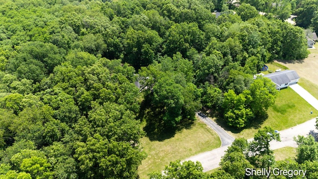 5151 Scotch Mist Dr, Saranac, MI 48881 - bird's eye view of a heavily wooded area