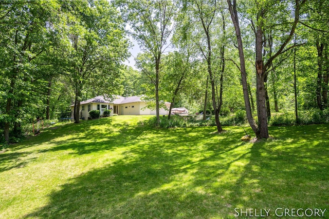 5151 Scotch Mist Dr, Saranac, MI 48881 - view of grassy yard featuring a wooded view