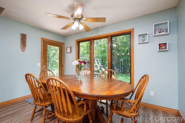 5151 Scotch Mist Dr, Saranac, MI 48881 - dining room with light wood-type flooring and ceiling fan