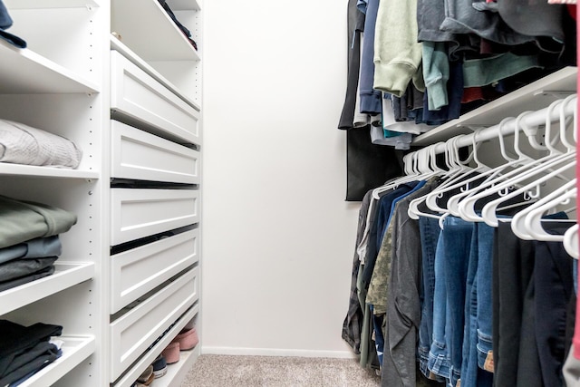 680 Eastlook Dr, Saline, MI 48176 - walk in closet with carpet floors