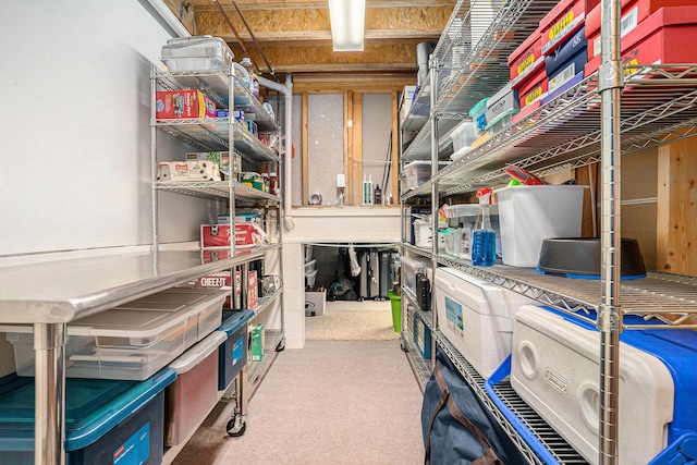 541 Tournament Cir Unit 14, Norton Shores, MI 49444 - view of storage