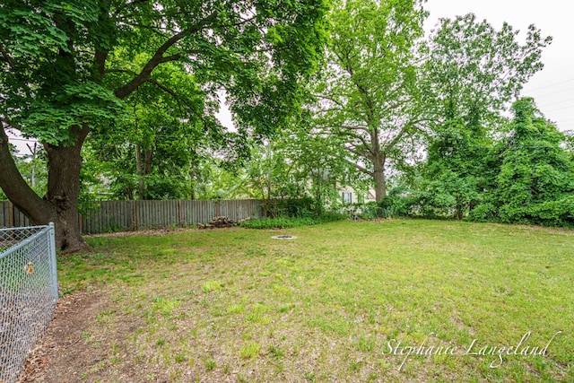 348 Yuba St, Muskegon, MI 49442 - view of fenced backyard
