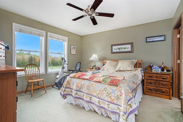 667 River Rd, Coldwater, MI 49036 - photo 10