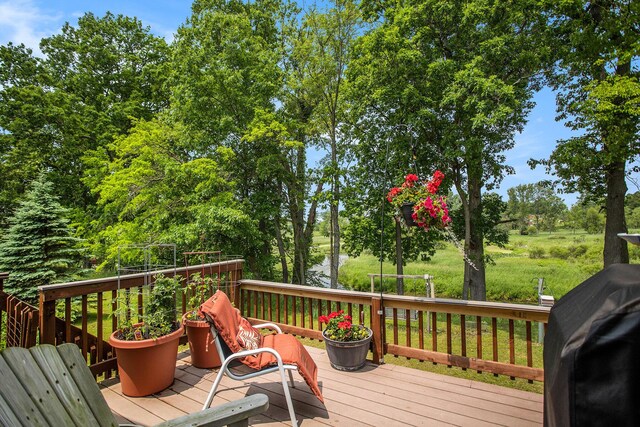 667 River Rd, Coldwater, MI 49036 - photo 19