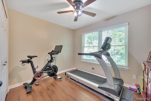 737 Camilla Blvd, Lake Orion, MI 48362 - workout area with wood finished floors and a ceiling fan