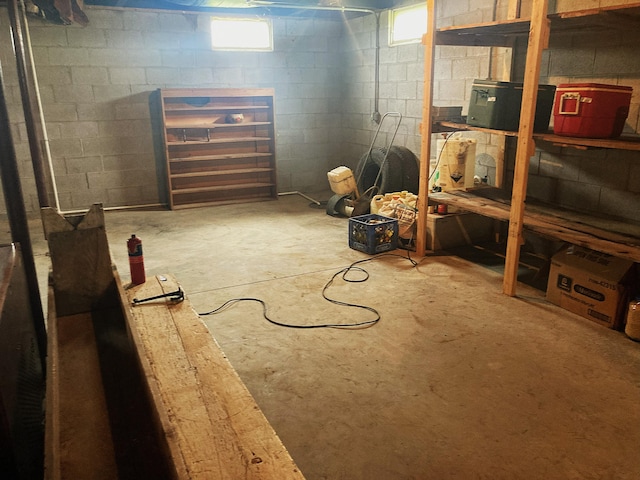 7560 W Washington Rd, Sumner, MI 48889 - below grade area featuring plenty of natural light