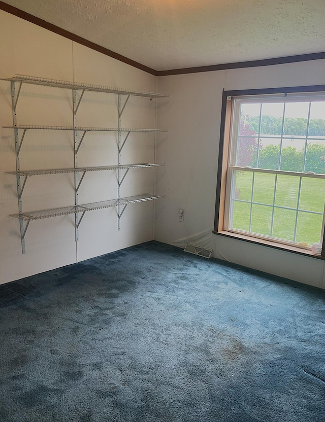 7560 W Washington Rd, Sumner, MI 48889 - unfurnished room featuring carpet, crown molding, and a textured ceiling