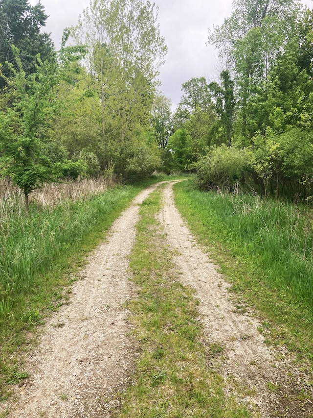 7560 W Washington Rd, Sumner, MI 48889 - view of street with a view of trees