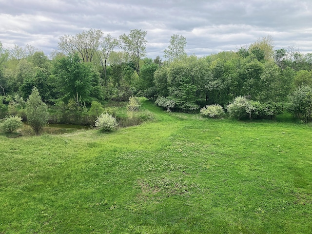 7560 W Washington Rd, Sumner, MI 48889 - view of grassy yard